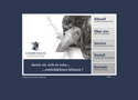 flash-site
